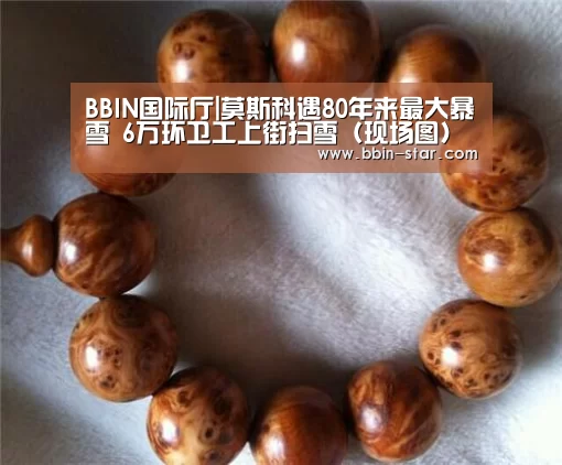 BBIN国际厅|莫斯科遇80年来最大暴雪 6万环卫工上街扫雪（现场图）