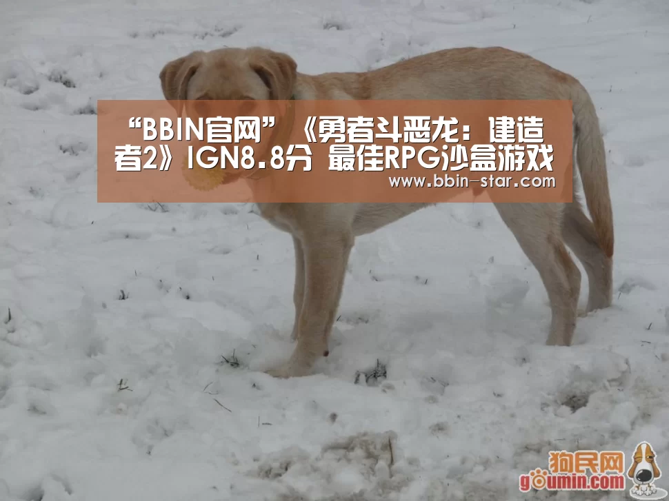 “BBIN官网”《勇者斗恶龙：建造者2》IGN8.8分 最佳RPG沙盒游戏